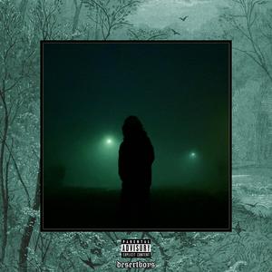 梁朝伟汤唯国外版
