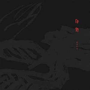 梁朝伟汤唯国外版
